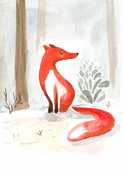Renard curieux dans les sous-bois